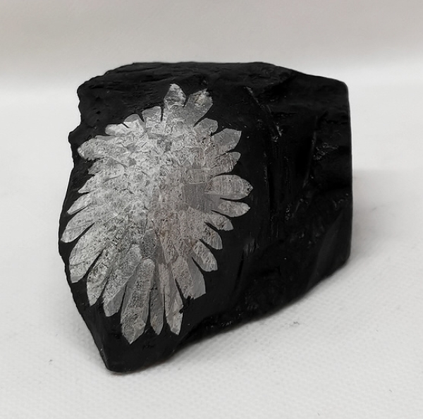 Chrysanthemen
